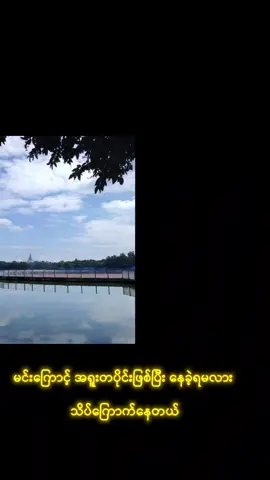 #ရင်မဆိုင်ရဲဘူး#music #tiktok #Love #fyp #NLH