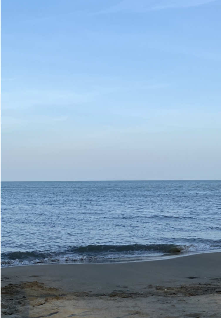 toi iu bien🏖️🪸 