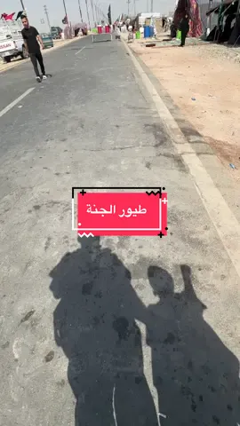 طيور الجنة#الحسين #مشاية_الامام_الحسين #خادم_الحسين #