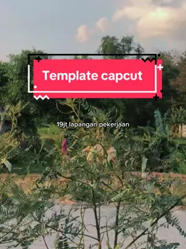 Sak ndeso kog nganggur kabeh #cbtemplate #muslihtemplate #manajanji19jtlapanganpekerjaanyangkaujanjikanitu 