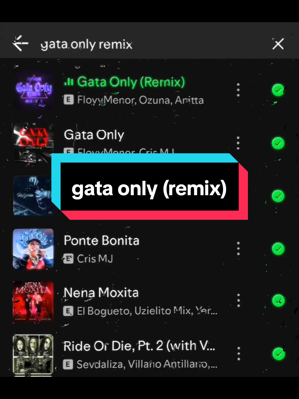 yeahhhhhhh #gataonlyremix #floyymenor #mytypemusic #lyrics_songs #spotify #spanishsong 