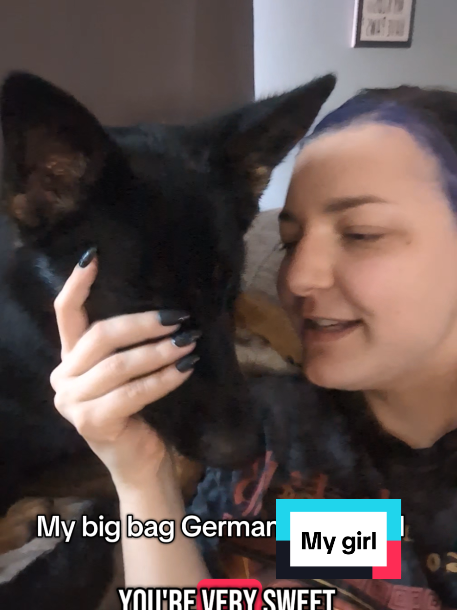 My big bad German shepherd will attack me with kisses 🤣 #germanshepherd #germanshepherdsoftiktok #gsd #gsdoftiktok #dogsoftiktok 