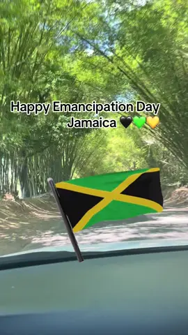 🖤💛💚🇯🇲 #jamaica #jamaicantiktok #jamaicantiktok🇯🇲viral #emancipation 