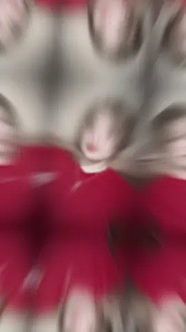 #CapCut 