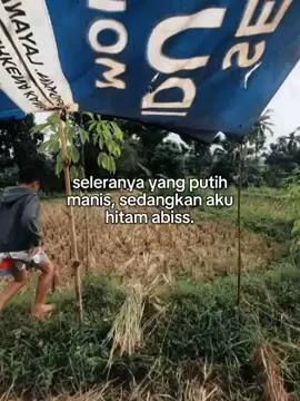 info yang banyak layangan putus cinta #ngejarlayanganputus #fyptiktok #masukberandafyp #capcut
