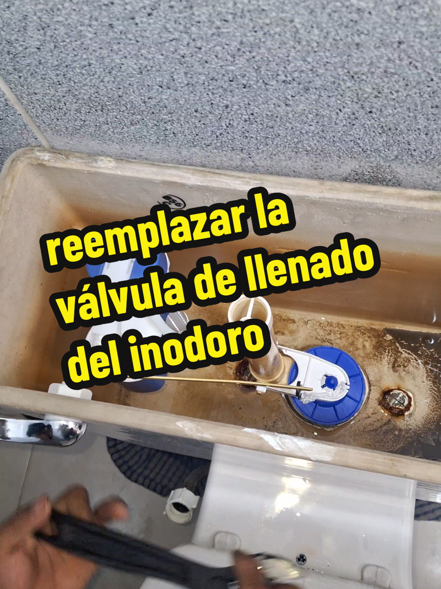 cambio de valvula flotadora del indoro. #installation #cambio #indoro #valvula #kit #toilet #plumbing #gasfiteria #hacks #aprende #solución