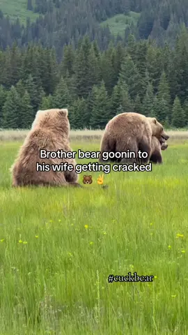 Cuckbear