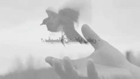 غلطت بل كتابه هيَ لازم بلسير مو بلسيف.  #سماوه #لطميات_حسينيه #باسم_الكربلائي_خادم_لن_يتكرر #foryou #عباس_السحاگي 