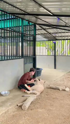 ตอบให้ละเด้อ🤣🤣🤣