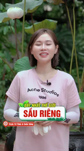 Trái sầu riêng mắc nhất thế giới, các bác đã biết chưa ạ? #emgaiphan #phvietnam #caytrong #saurieng #thailand #sauriengmacnhatthegioi 