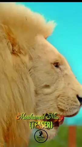 (TEASER AHMADU MUHJIZA) MOUHAMED NIANG MOU S. SALIOU #rahimdiop#Mouhamedniang#pourtoi#teaser#magaltouba2025 @mouhamed_niang_officiel 