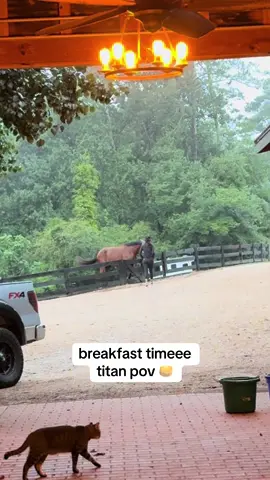 happy friday!  #equestrian #horse #foryoupage #horsegirl #viralvideosofficial #horselife #giant4yearold #equestrianlife #foryoupage #horsesontiktok #horsesontiktok #fypdongggggggg #fyppppppppppppppppppppppp #fypp #horseshow #fypp 