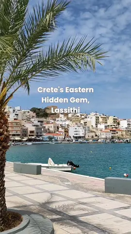 Crete's eastern hidden gem in Lassithi!🌴 📍Sitia, Lassithi Check out this lovely coastal town, at the easternmost side of Crete, it's a 2-hour drive from the capital city of Crete, Heraklion. ⛱️The long sandy beach right in the centre of the town is perfect to relax and swim safely. 🤤A must-visit place if you're seeking for good local tastes of Crete. 👌Sitia is linked to many Cretan products with a protected designation of origin (PDO) - Don't miss the chance to try the creamy xygalo cheese with the distinctive sour flavor.🧀 📌The area around Sitia belongs to the Global Geopark of Sitia protected by Unesco. The land is covered with vineyards🍇, olive groves🫒 and thyme fields🌱 offering distinct wines with protected geographical indication, extra virgin olive oil of premium quality and thyme honey of high nutritional value. 👉How to get there: ✈️ Did you know that one of the three airports on the island is located in Sitia? 🧳 Through frequent internal flights to the capital city of Greece, Athens, Sitia is easily accessible all year round. 😉For more experiences in Crete beyond the tourist trail, check out our self-guided day trips! 👉Visit tastethelocalcrete.gr #tastethelocalcrete #visitcrete #sitia #lasithi #cretegreece #greekisland 