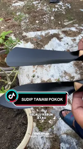 Sudip untuk tanaman sesuai guna untuk gemburkan tanah, tanam pokok dan merumput dalam pasu bunga.#sudip #gemburkantanah #tanambunga #tanamsayur #DIY #sudipbesi #hobitanambunga 