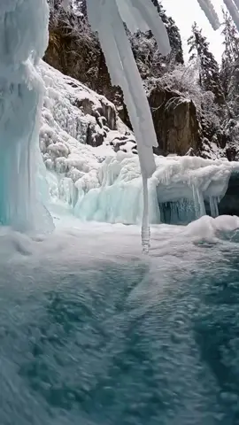 جبر الخواطر #من_يجبر_خواطر_الناس #مناضر_طبيعيه_جميله #اجمل_الفيديوهات_ممكن_تشوفها_💚⚡ منظر طبيعي 4k للقرآن فيديوهات مناظر طبيعية وحقيقية 4k فيديوهات مناظر طبيعية للتصميم قرآن مناظر طبيعية جودة عالية للحالات تصميم اجمل تصميم فيديوهات عن الهيبة والرجولة خلفيات فيديو للتصميم جاهزة