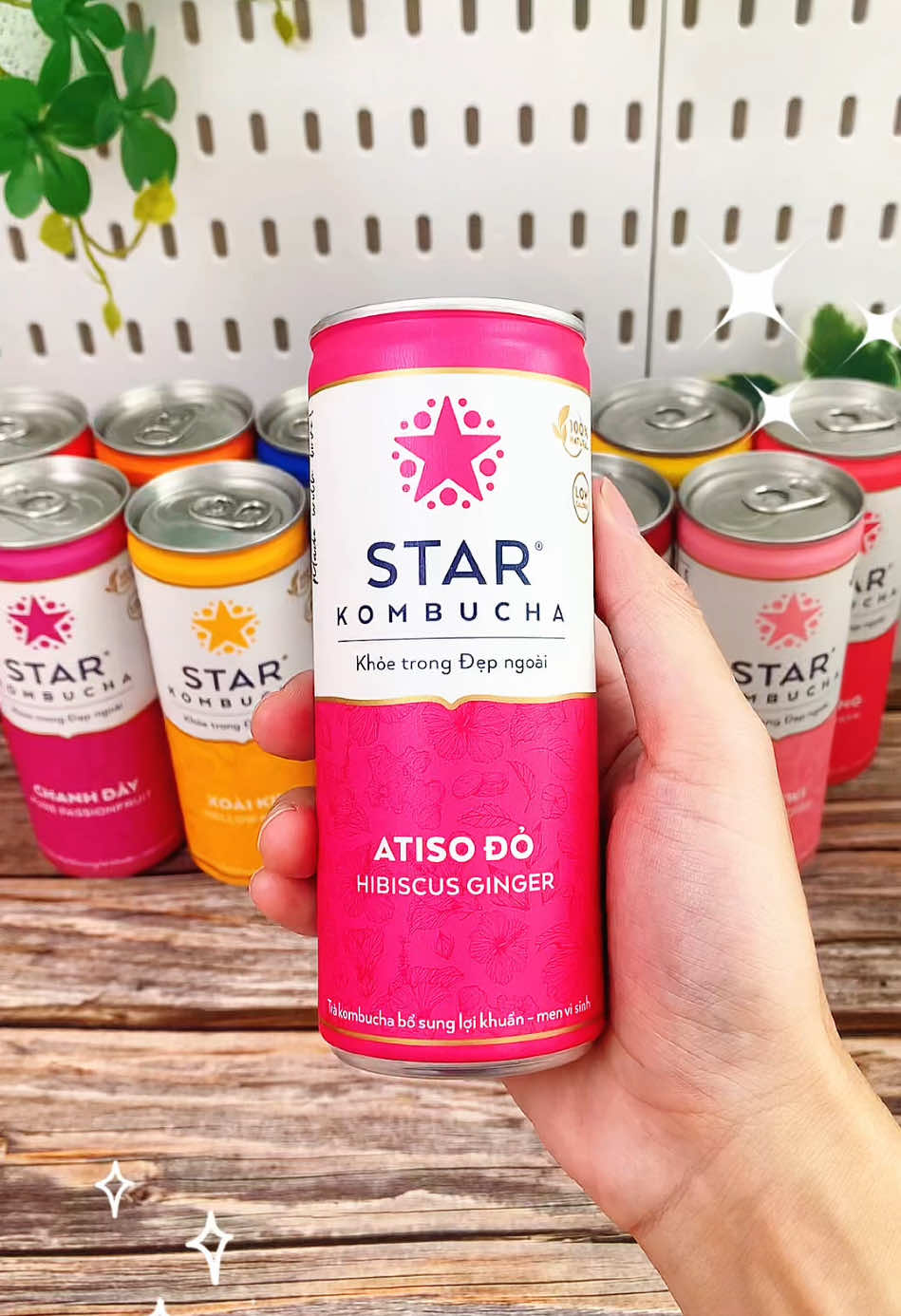 Trà lên men tự nhiên mix 12 vị  Đ.ẹp D.a 🍓🫐🍊🍑🥭giải khát mùa hè mà các mọi người nên thử đây ạ! #trakombucha #kombucha #starkombucha #tralenmen #trà #tea #tralenmentraicay #drink #foodreview #tiktokshop #monngonreview #muataitiktokshop #chiendichnhasangtao #sale 
