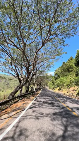 Jalanan terindah di Dompu,NTB  #fypp 