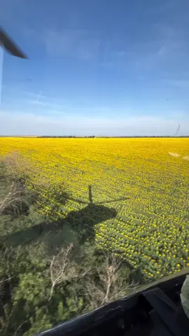 @QneskO #армійськаавіація #Мі24 