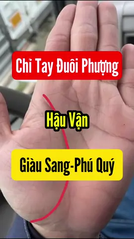 Chỉ tay đuôi phượng cực phú, đại quý |Zal0: 035.6868.967 để xem chi tiết #chitay #xemchitay #chitaytailoc #trending #xh 