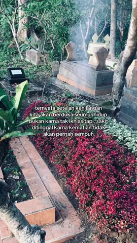 dalam setahun terdapat 12 bulan namun hanya di bulan agustus yang membuatku berduka untuk selama lamanya al-fatihah sayangku semoga tenang bahagia dialam sana🤲🏻🤍🌹