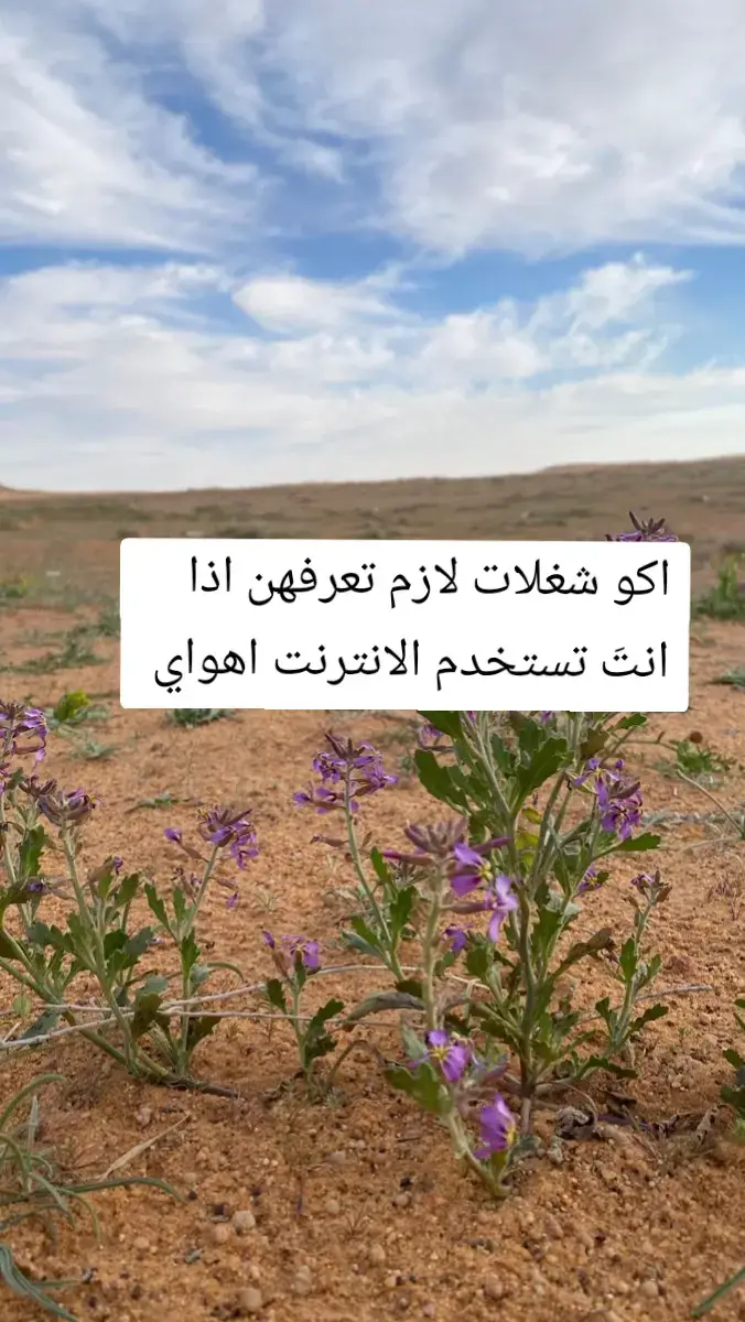 الحمد لله على كل حال... 