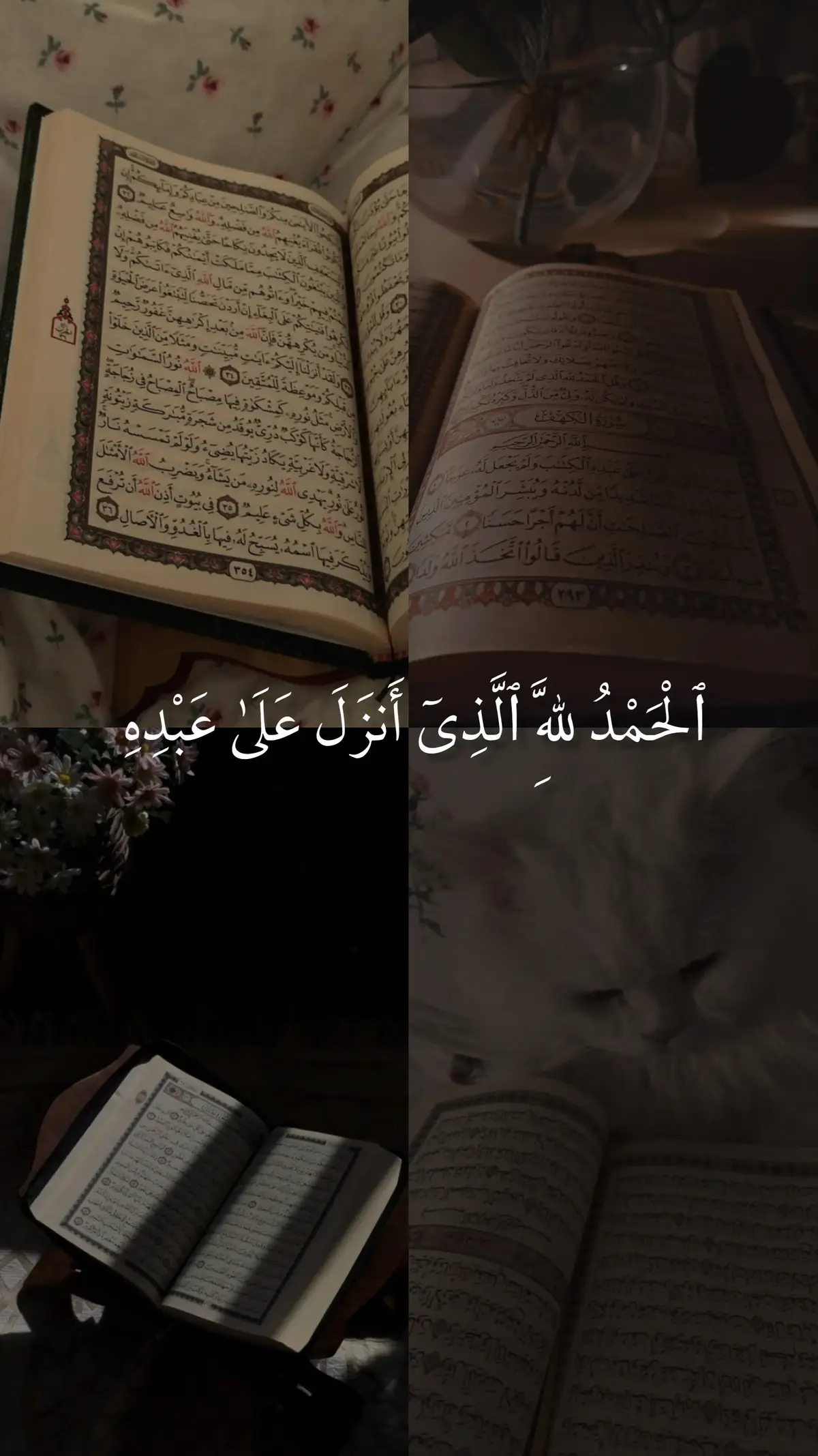 #لا تنسوا الصلاة على النبي وقراءة سورة الكهف #قرآن #ماهر المعيقلي #قرآن القرآن الكريم # ‏quran_alkarim#‏ القران# ‏quran‏ ؛؛ قرآن ‏qu_ran_n‏ # تلاوة # خاشعة ‏qu_ran_n‏ # ‏islamic_video‏ # اجر لي ولكم # ‏chahr_205#‏ ‏quran_114st#‏ صدقه جارييه#تلاوة_خاشعة 