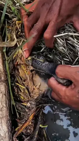 saat aku nyebrang dan hampir bersalaman