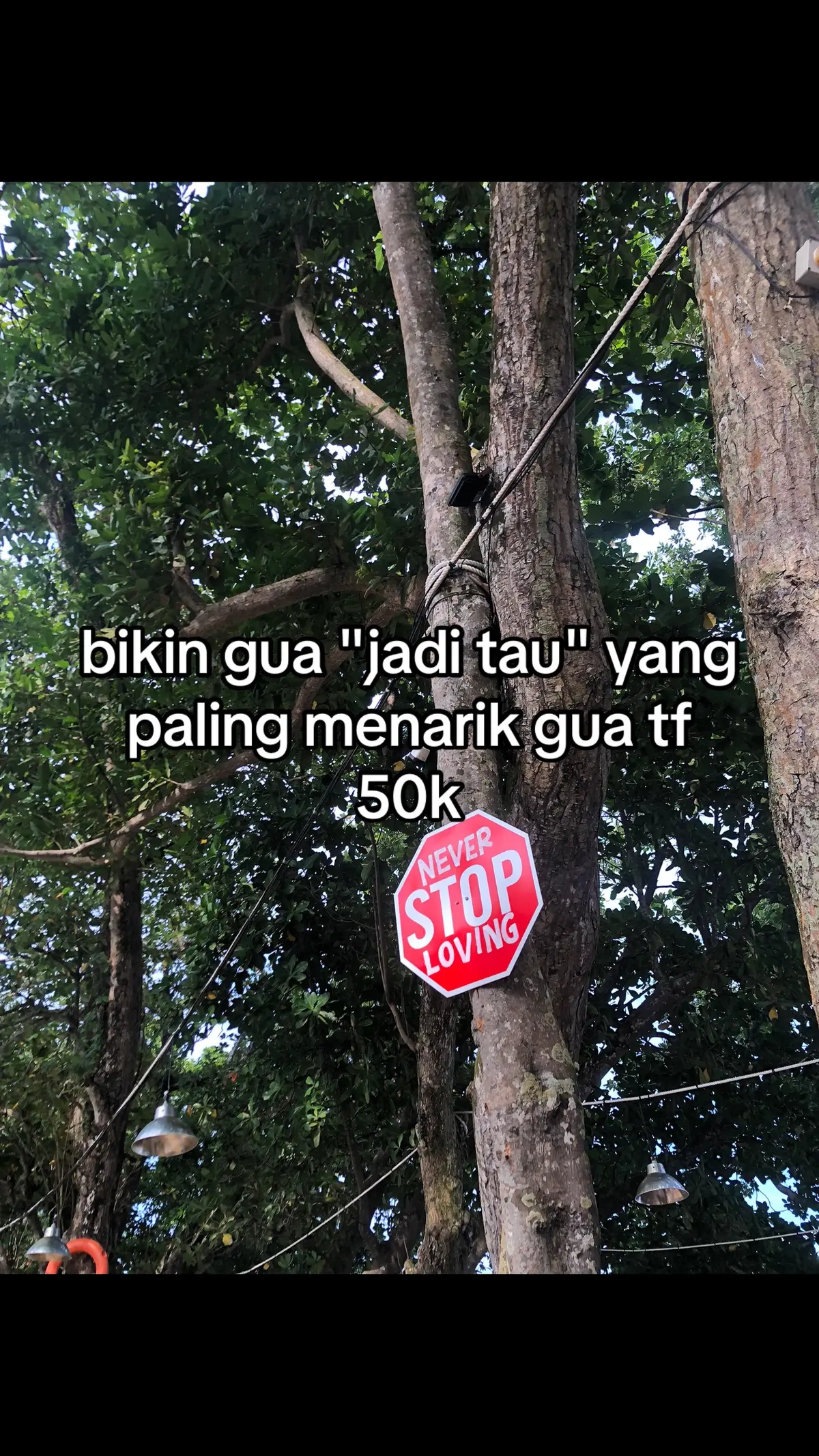 #fyp #xyzbca #jaditau 