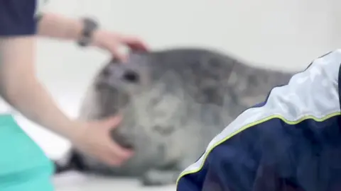 Юки 