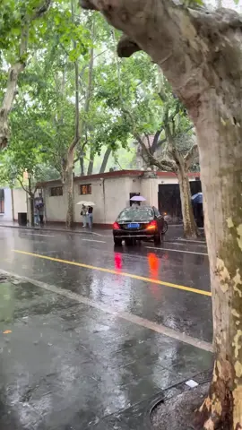 “Thượng Hải lão dương phòng, Bắc Kinh tứ hợp viện”—-Biệt thự cổ Thượng Hải riêng biệt sân vườn, ra vào đều có quản gia tự tay mở cửa, nghi thức tràn đầy, đại gia thực sự của Thượng Hải không sống ở Tomson Riviera mà sống ở nơi tĩnh lặng giữa phố thị náo nhiệt này, thật đáng ngưỡng mộ! #wukang #tomsonyipin  #maybachs600 