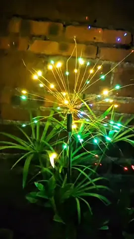 Colorful dandelion fireworks lamps in the courtyard garden. They light up automatically at night and are extremely beautiful. #Solar fireworks lamps #Courtyard decoration lamps #Garden lamps#tiktok ##tiktokshop #foryou #fyp #fypシ #malaysia #malaysiatiktok 