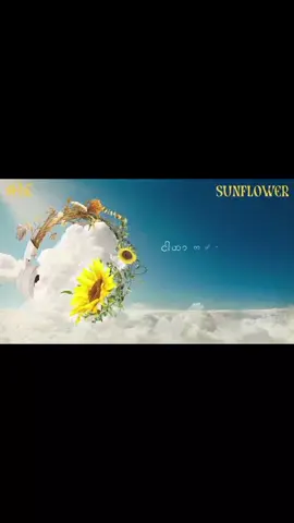 SHINE သီချင်းအသစ်လေး  NAME-SUNFLOWER #myanmarsong #myanmartiktoks #foryou #fyp 