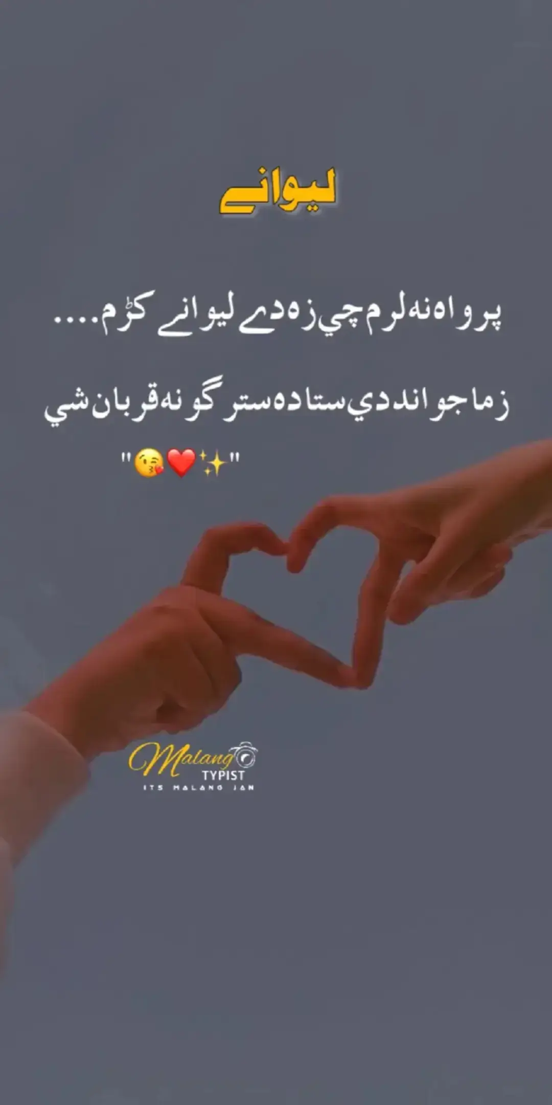 #پروانہ کرم چی زہ دی لیونی کڑم#