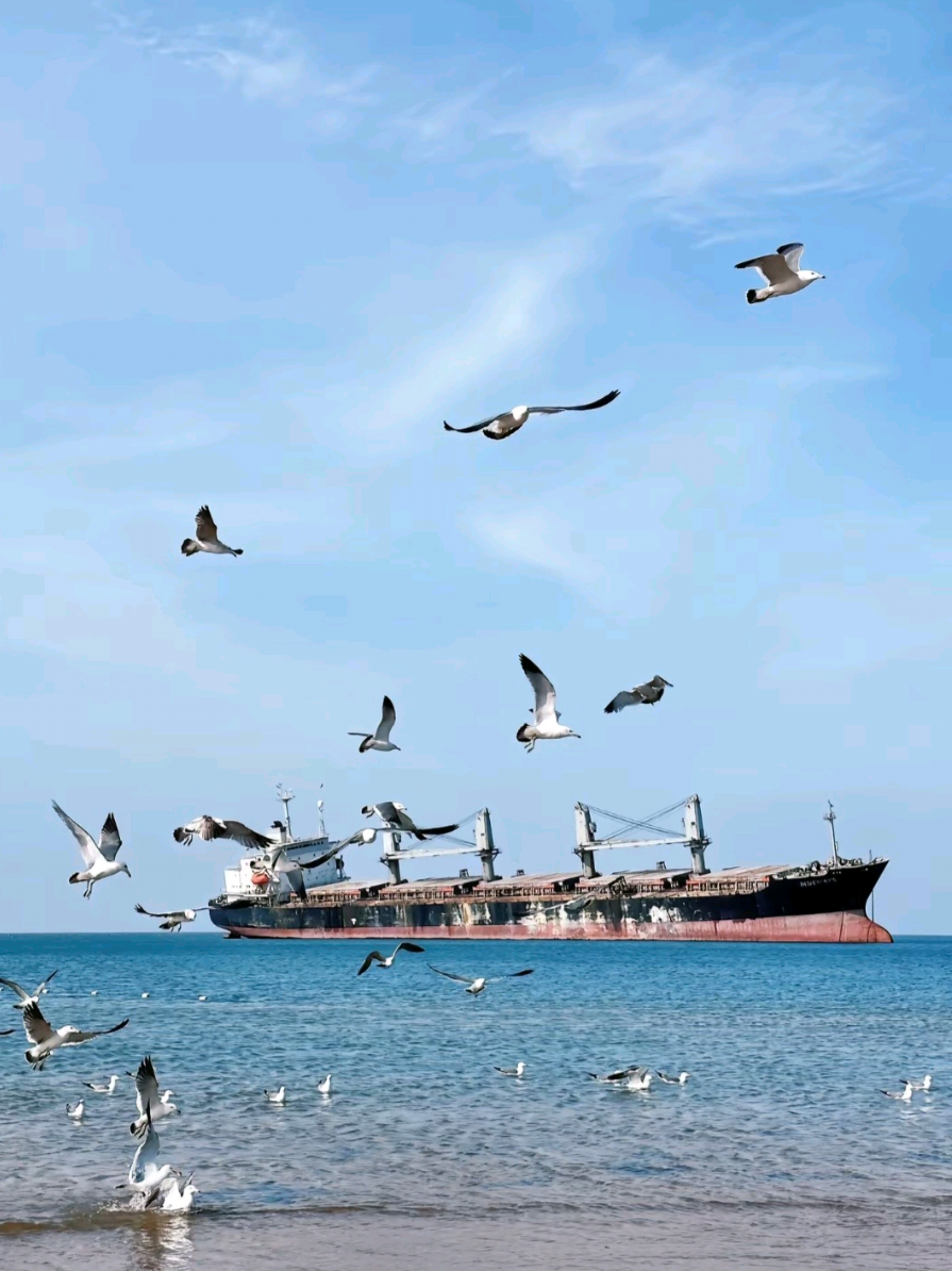 Em có muốn cùng nắm tay anh, vượt qua biển lớn không? Nơi cô độc và lụi tàn tồn tại...🖤 Blueways (布鲁维斯号) – 