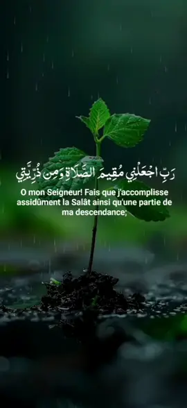 reposé vôtre ouï et votre cœur récitation quran belle voix par.... #million #quran_alkarim #قرآن_كريم_راحة_نفسية #quranrecitation #vira #fyp 