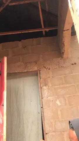 #hausatiktok #trendingvideo  ya tsokano Dan Gwari musha dariya 🤣🤣🤣