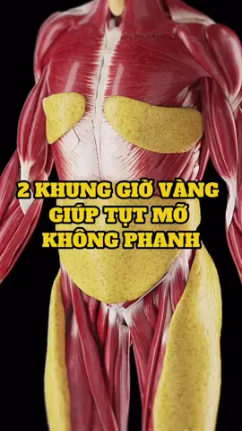 #lekimhung #songkhoe247 #insulinresistance #pcos 