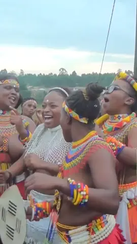 #culturaldance #zulutiktok #zuluwoman #africanculture #ZuluWoman #ZuluDance #ZuluCulture #ZuluPower #ProudZulu #TribalDance #TraditionalDance #TraditionalWoman #StrongWoman #IndigenousBeauty #AfricanBeauty #BlackQueen #WarriorWoman #ZuluPride #CulturalRoots #NativeVibes #AfroHeritage #DanceOfAfrica #RhythmAndTradition #EthnicDance #CultureIsPower #WomenOfAfrica #TraditionalStyle #TribalQueen #RootedInCulture #ZuluTradition #SacredDance #ElegantStrength #BlackCultureMatters #EssenceOfAfrica #MujerZulu #DanzaZulu #CulturaZulu #PoderZulu #OrgulloZulu #DanzaTribal #DanzaTradicional #MujerTradicional #MujerFuerte #BellezaIndígena #BellezaAfricana #ReinaNegra #MujerGuerrera #RaícesCulturales #VibrasNativas #HerenciaAfro #DanzaDeÁfrica #RitmoYTradición #DanzaÉtnica #LaCulturaEsPoder #MujeresDeÁfrica #EstiloTradicional #ReinaTribal #ConRaíces #TradiciónZulu #DanzaSagrada #FuerzaElegante #LaCulturaNegraImporta #EsenciaDeÁfrica #MulherZulu #DançaZulu #CulturaZulu #PoderZulu #OrgulhoZulu #DançaTribal #DançaTradicional #MulherTradicional #MulherForte #BelezaIndígena #BelezaAfricana #RainhaNegra #MulherGuerreira #RaízesCulturais #VibesNativas #HerançaAfro #DançaDaÁfrica #RitmoETradição #DançaÉtnica #CulturaÉPoder #MulheresDaÁfrica #EstiloTradicional #RainhaTribal #EnraizadaNaCultura #TradiçãoZulu #DançaSagrada #ForçaElegante #CulturaNegraImporta #EssênciaDaÁfrica #FYP #ForYou #ParaTi #Viral #Trending #WatchTillTheEnd #MustSee #DanceChallenge #TikTokTrend #GlowUp #ReelsBrasil #ShortsFeed #ExplorePage #VibesOnly #GirlPower #AfroTikTok #DuetThis #StitchThis #TikTokChallenge #culturaldance 