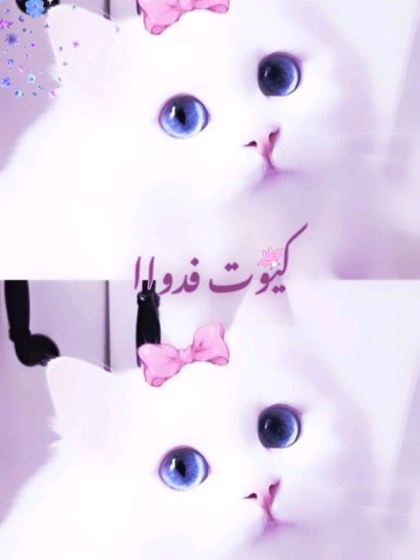 أجت لتخبر حبيبها انهاا حامل لكنها تفاجئت #لايك_متابعه_اكسبلور #CapCut 