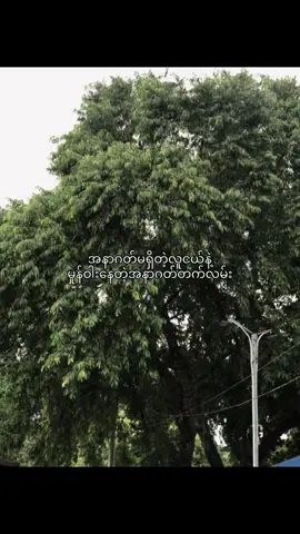 အဲ့မှာစတာဘဲ#viral #fyp #livephotos 