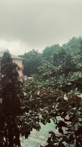 #smk1kotaternate #skensa #fyppppppppppppppppppppppp #sheilaon7 #dan #hujan 