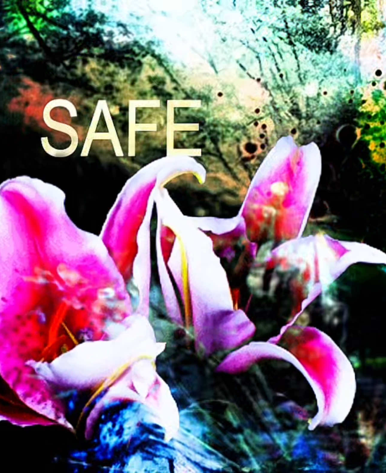 #entombed #deftones #aesthetic #lyrics #edit #flowers #targetaudience 