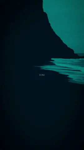 “Wildflower” 🎶👀 || #bellieeilish #wildflower #lyrics #lyrics_songs #music #song #audio #foryoupage #slowedsongs #speedup #trendingsong #fyp 