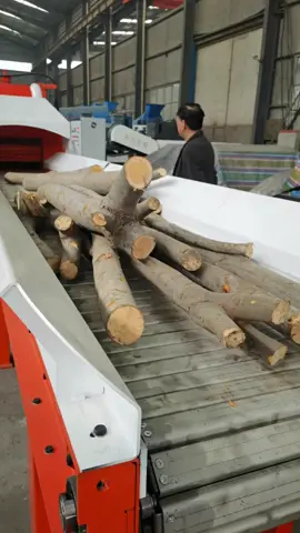 Wood sawdust machine for 10-12t/h #woodsawdustmachine #woodsawdust #woodpelletmaking #woodcrusher #woodcrushermachine 