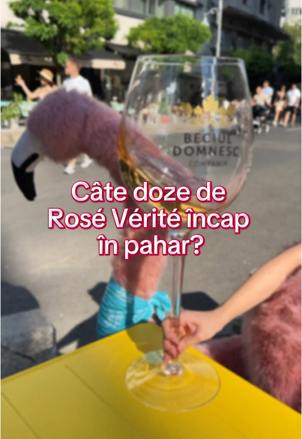 🦩 Te plimbi frumos pe Victoriei și vin flamingii ăștia la tine cu paharul. Pe cine chemi să te ajute... cu număratul? 🤔 #365deziledevara #LaVidaEnRose #funny #romania #roseverite #beciuldomnesc #fyp 