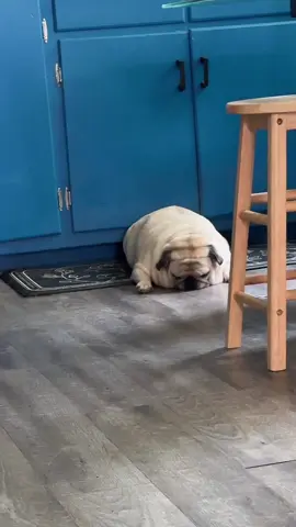 Loaf