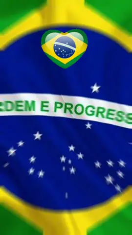 SEMPRE PATRIOTA 🇧🇷 #patriaamadabrasil 