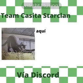 video rápido, y por favor que se una un Shadowsight lo antes posible Snowtuft me tiene loca 💔 #warriorcats #warriors #losgatosguerreros #gatosguerreros #team #fyp #unete #shadowsight #snowtuft #teampordiscord 