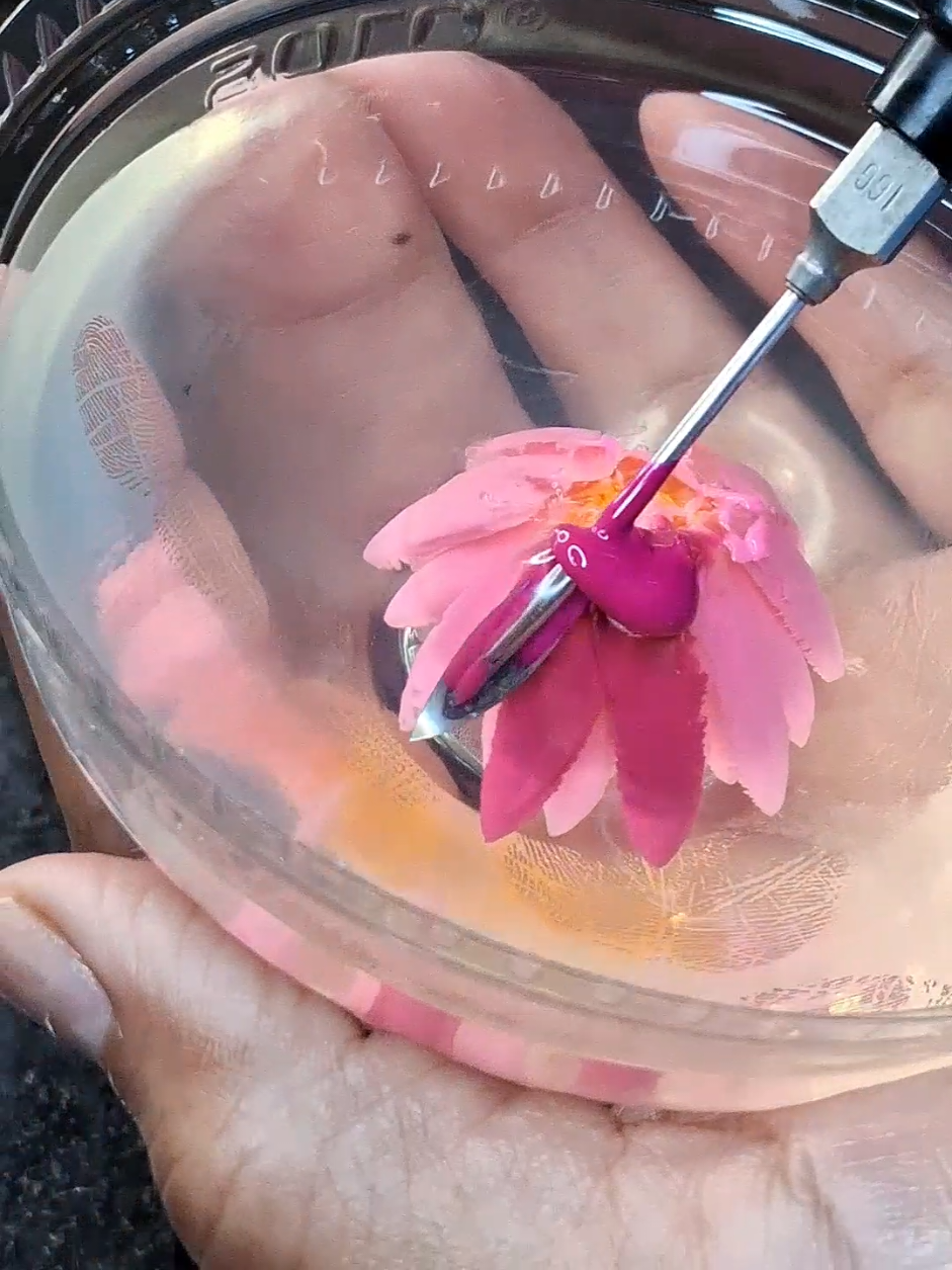 Proceso de mi gelatina estanque de tortugas 🐢 y water lily 🪷#waterlilyinyectadaengelatina  #gelatina3d  #gelatinaestanquedetortugas  #gelatinatransparente  #arteengelatina 