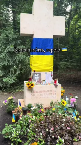 #fyp#2025#війна#україна 